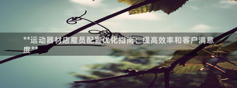 意昂3娱乐首页官网下载：**运动器材店雇员配置优化指
