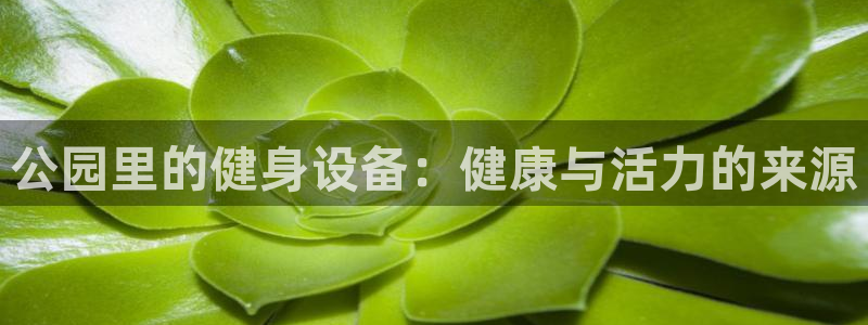意昂体育3招商电话号码是多少啊：公园里的健身设备：健