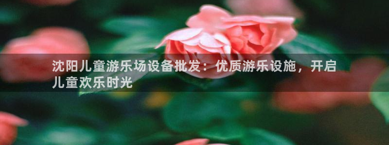 意昂3集团：沈阳儿童游乐场设备批发：优质游乐设施，开