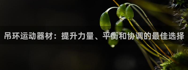 意昂3代理：吊环运动器材：提升力量、平衡和协调的最佳