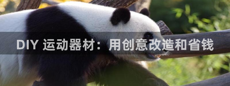 意昂体育3招商电话地址查询：DIY 运动器材：用创意