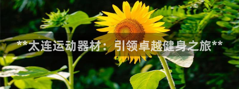 意昂体育3注册：**太连运动器材：引领卓越健身之旅*