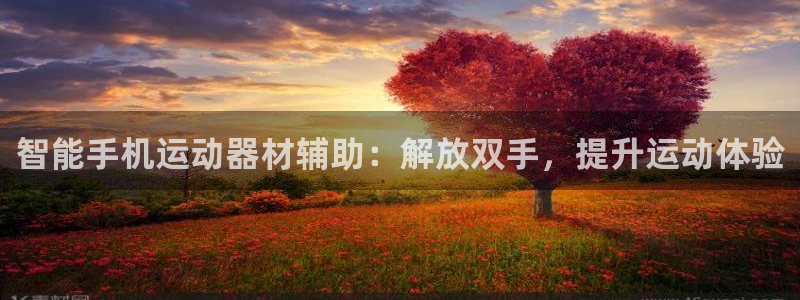 意昂体育3平台注册要钱吗安全吗：智能手机运动器材辅助