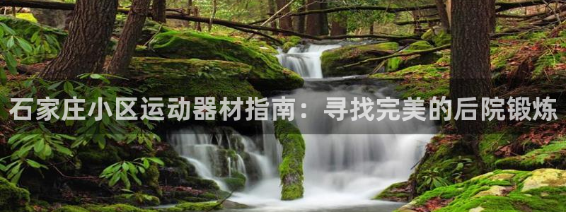 意昂体育3招商电话号码查询：石家庄小区运动器材指南：