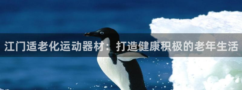 意昂体育3联系电话：江门适老化运动器材：打造健康积极
