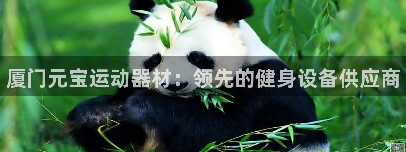 意昂3集团官网首页网址：厦门元宝运动器材：领先的健身
