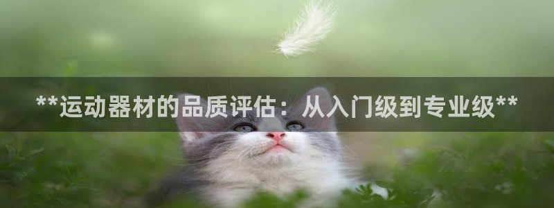 意昂体育3平台注册流程图：**运动器材的品质评估：从
