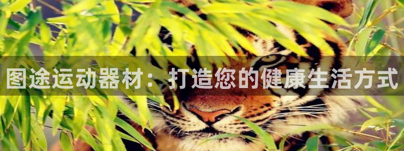 意昂体育3平台：图途运动器材：打造您的健康生活方式