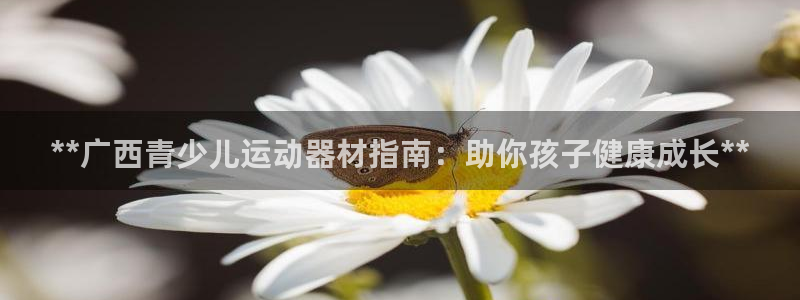 意昂体育3娱乐：**广西青少儿运动器材指南：助你孩子