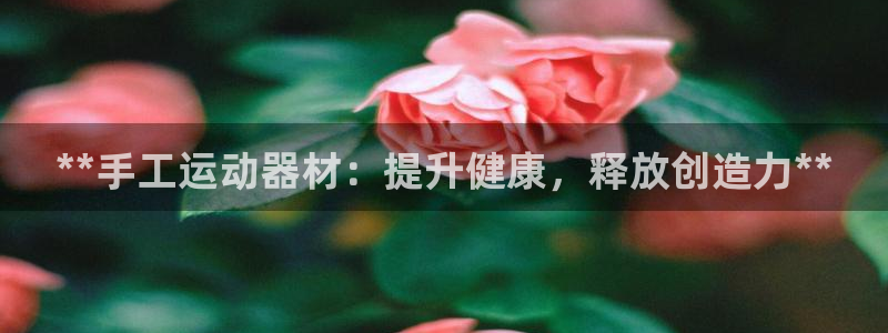 意昂体育3平台：**手工运动器材：提升健康，释放创造