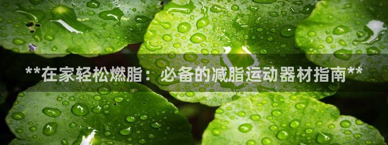 意昂体育3开户：**在家轻松燃脂：必备的减脂运动器材