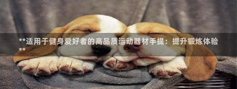 意昂体育3注册：**适用于健身爱好者的高品质运动器材