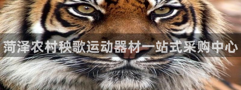 意昂体育3招商电话：菏泽农村秧歌运动器材一站式采购中