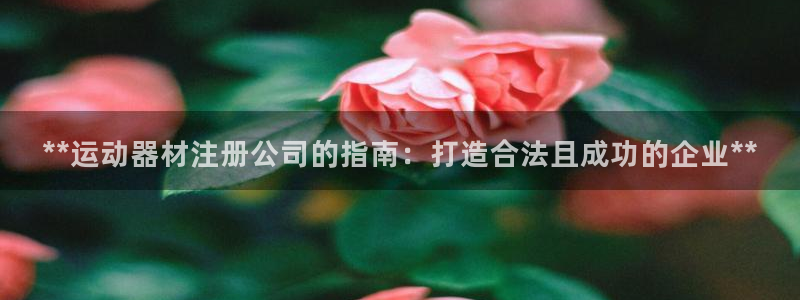 意昂3娱乐40996：**运动器材注册公司的指南：打