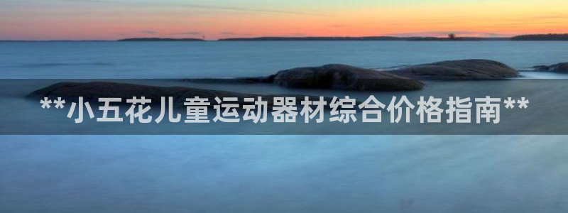 意昂体育3开户：**小五花儿童运动器材综合价格指南*