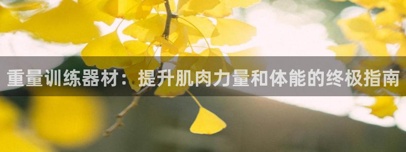 海南意昂体育3发展怎么样：重量训练器材：提升肌肉力量