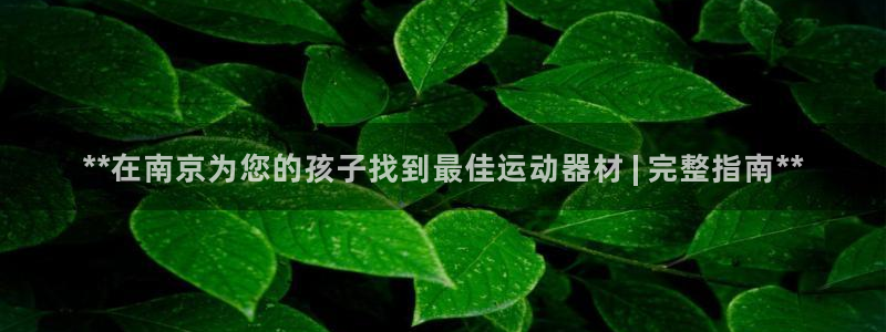海南意昂体育3：**在南京为您的孩子找到最佳运动器材