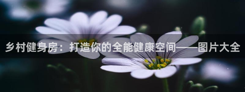 意昂体育3娱乐：乡村健身房：打造你的全能健康空间——