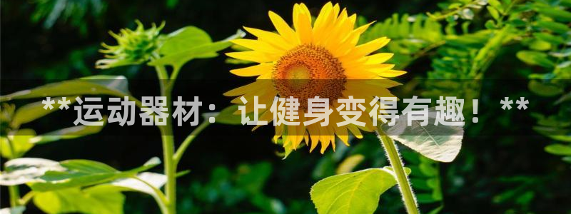 意昂体育3平台假的吗是真的吗：**运动器材：让健身变