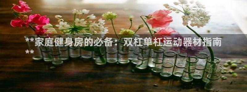 意昂3集团官网首页网址：**家庭健身房的必备：双杠单