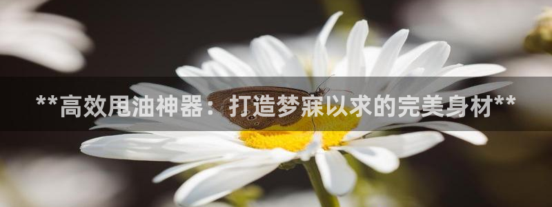 意昂体育3平台注册流程视频：**高效甩油神器：打造梦