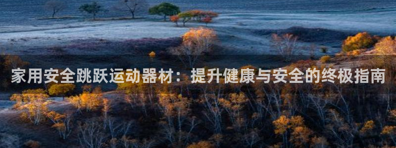 意昂体育3招商电话号码是多少号：家用安全跳跃运动器材