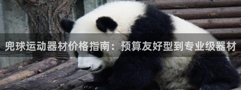 意昂体育3平台注册：兜球运动器材价格指南：预算友好型