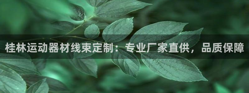 海南意昂体育3发展怎么样：桂林运动器材线束定制：专业