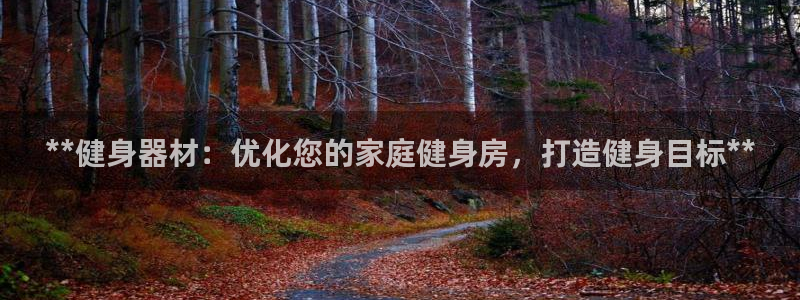意昂体育3娱乐：**健身器材：优化您的家庭健身房，打