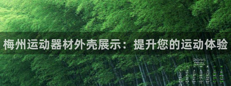 意昂体育3招商电话地址：梅州运动器材外壳展示：提升您