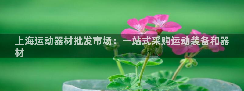 意昂平台体育：上海运动器材批发市场：一站式采购运动装