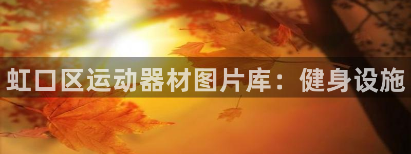 意昂体育3平台注册流程视频：虹口区运动器材图片库：健