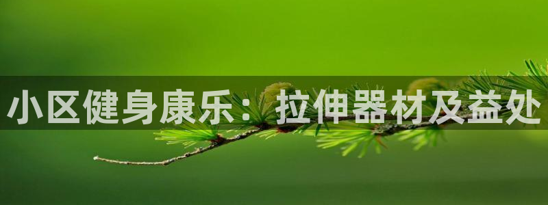 意昂体育3招商电话号码：小区健身康乐：拉伸器材及益处