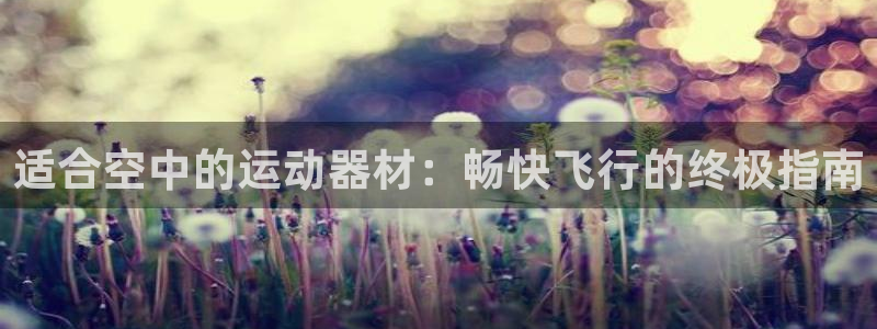意昂体育3娱乐：适合空中的运动器材：畅快飞行的终极指
