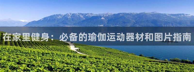意昂体育3：在家里健身：必备的瑜伽运动器材和图片指南
