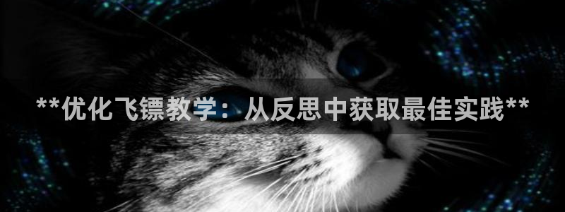 意昂3娱乐40996：**优化飞镖教学：从反思中获取