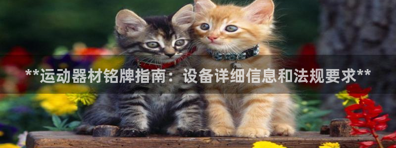 意昂3集团E.ON：**运动器材铭牌指南：设备详细信