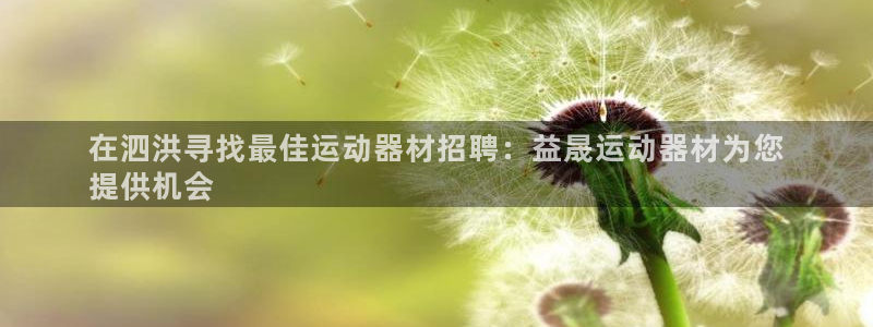 意昂3集团E.ON：在泗洪寻找最佳运动器材招聘：益晟