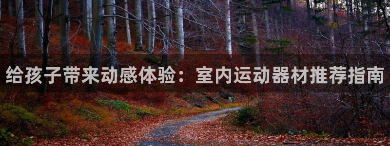 意昂体育3平台注册要钱吗安全吗：给孩子带来动感体验：
