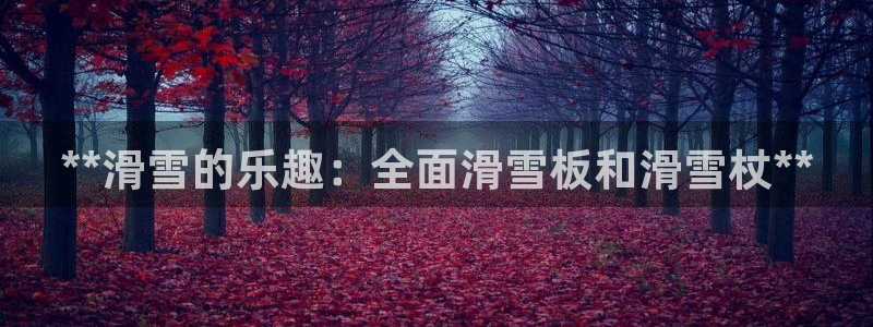 意昂体育3招商电话：**滑雪的乐趣：全面滑雪板和滑雪