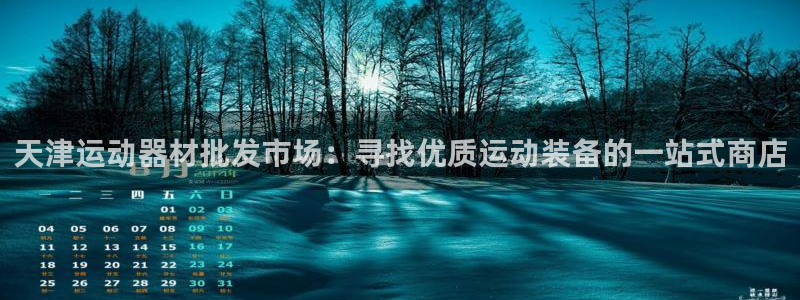 意昂体育3招商：天津运动器材批发市场：寻找优质运动装
