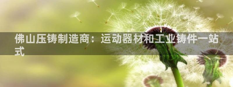 意昂3五金厂：佛山压铸制造商：运动器材和工业铸件一站