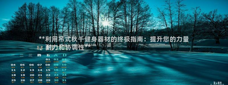 意昂3集团简介：**利用吊式秋千健身器材的终极指南：