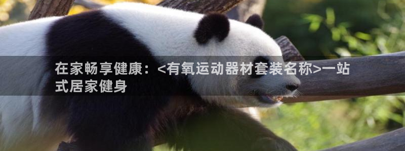 意昂体育3是干嘛的公司