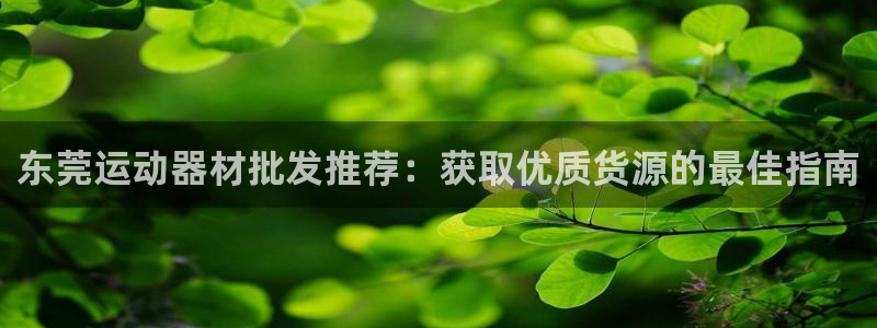 意昂3娱乐40996：东莞运动器材批发推荐：获取优质