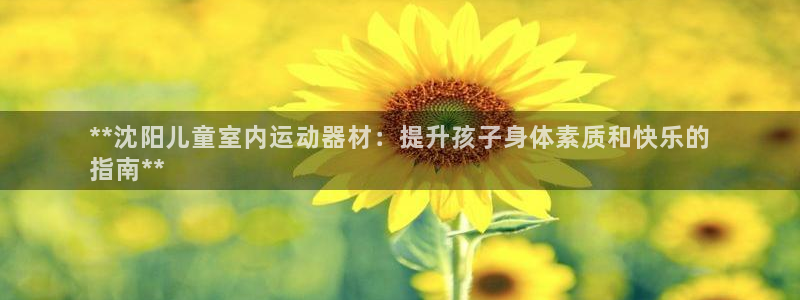 意昂体育3注册：**沈阳儿童室内运动器材：提升孩子身