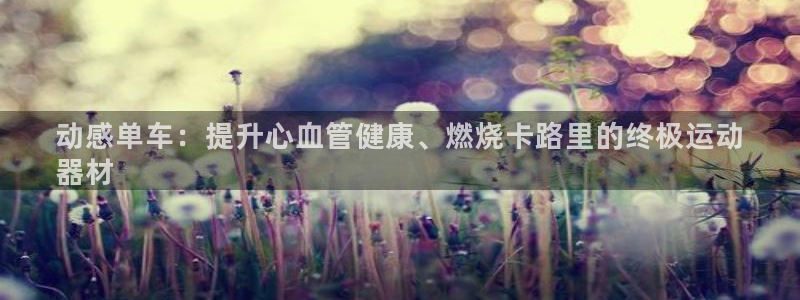 意昂3集团E.ON：动感单车：提升心血管健康、燃烧卡