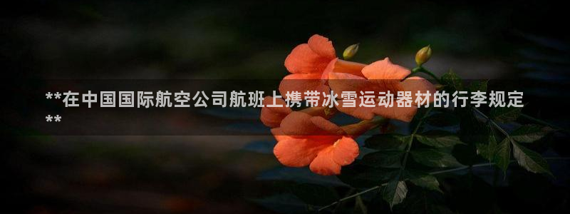 意昂体育3平台注册要钱吗安全吗：**在中国国际航空公