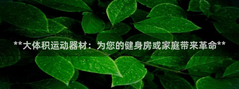 海南意昂体育3发展怎么样：**大体积运动器材：为您的
