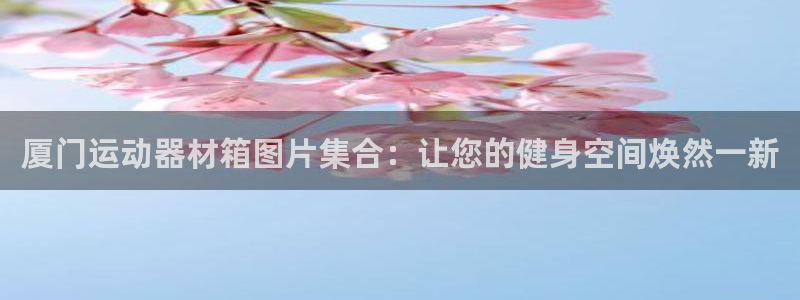 意昂体育3娱乐：厦门运动器材箱图片集合：让您的健身空